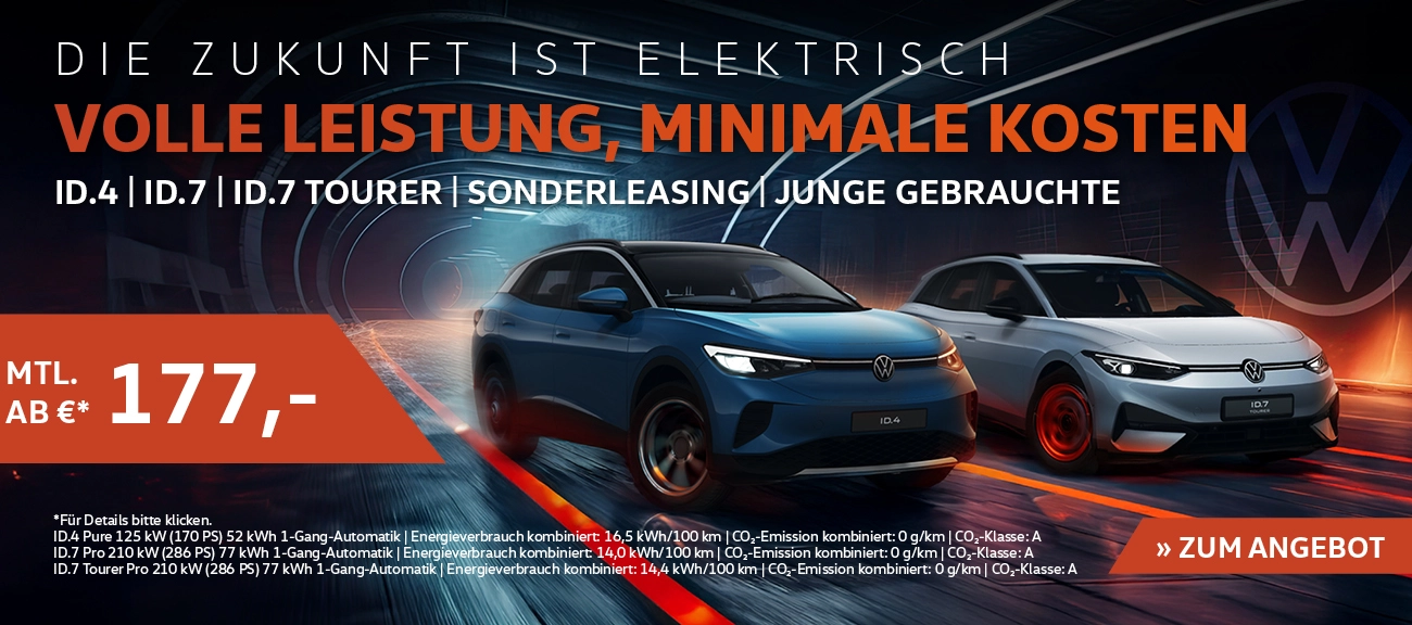 Junge gebrauchte ID.s