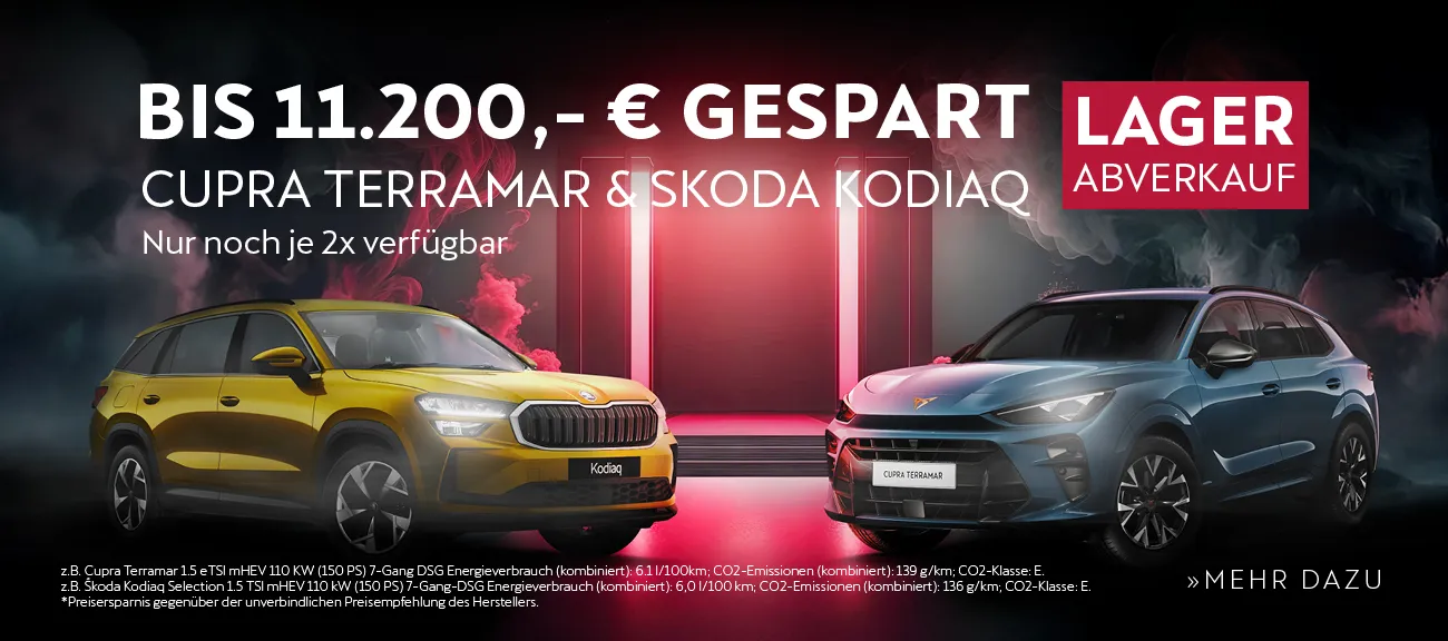 Terramar Kodiaq Lagerabverkauf